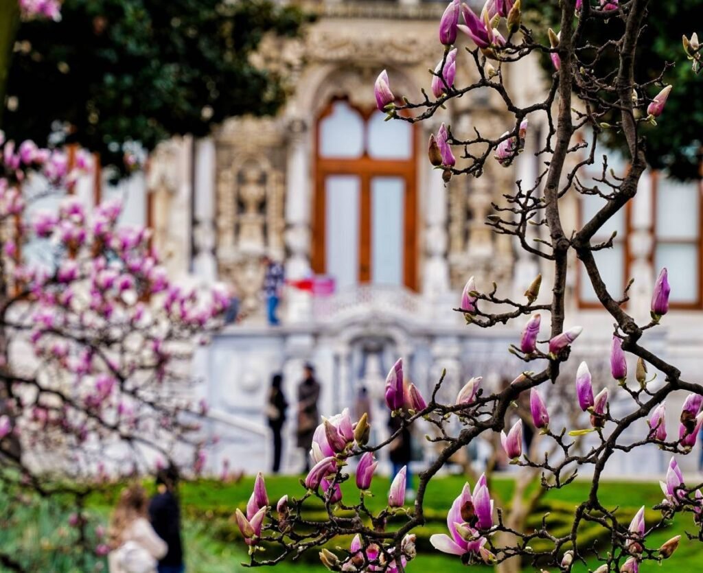 İstanbul'da Baharın Keyfini Çıkartabileceğiniz Rotalar!