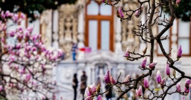 İstanbul'da Baharın Keyfini Çıkartabileceğiniz Rotalar!