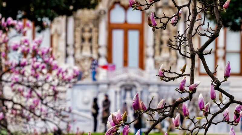 İstanbul'da Baharın Keyfini Çıkartabileceğiniz Rotalar!