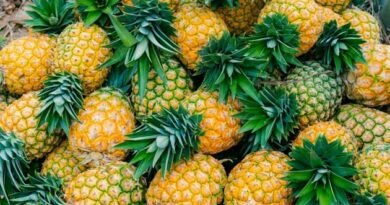 Bromelain Nedir ve Faydaları Nelerdir?