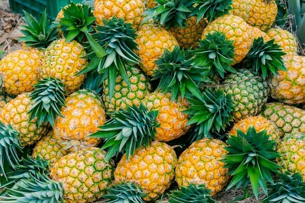 Bromelain Nedir ve Faydaları Nelerdir?