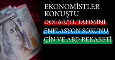 2025 için Ekonomistlerin Dolar/TL Tahminleri ve Enflasyon Üzerine Yorumları
