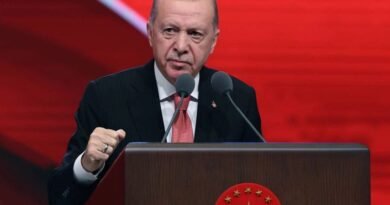 Erdoğan: Türkiye, Suriye'nin İyileşme Sürecine Destek Olacak