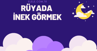 Rüyada İnek Görmek Ne Anlama İ gelir?