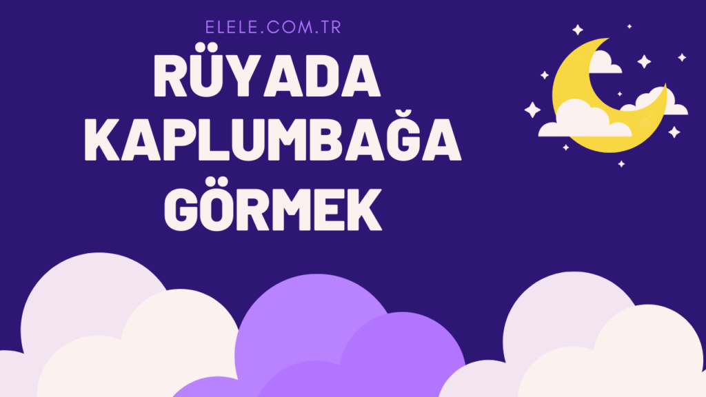 Rüyada Kaplumbağa Görmenin Anlamı Nedir?