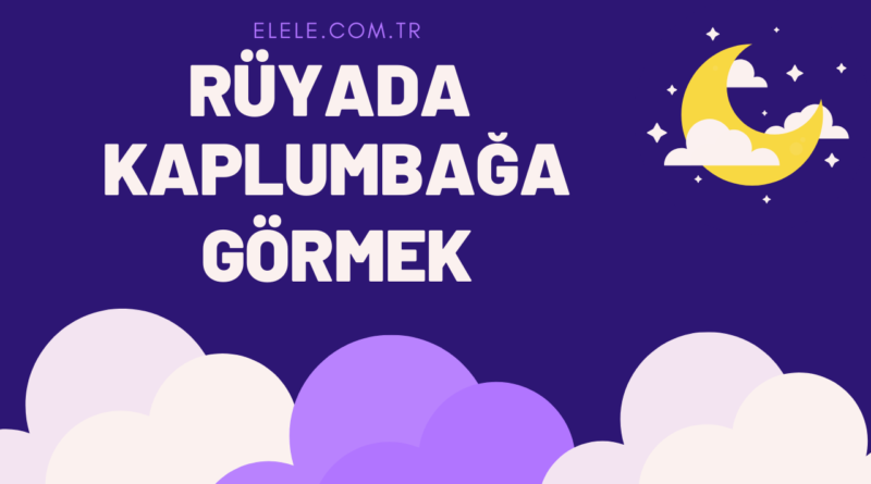 Rüyada Kaplumbağa Görmenin Anlamı Nedir?