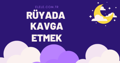 Rüyada Kavga Etmenin Anlamı Nedir?