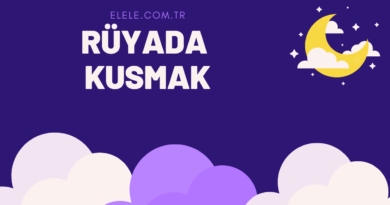 Rüyada Kusmak Ne Anlama Geliyor?