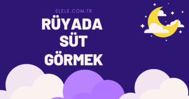 Rüyada Süt Görmenin Anlamı Nedir?