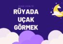 Rüyada Uçak Görmenin Anlamı Nedir?