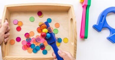 Montessori Yöntemi ile Okul Öncesi Etkinlikler ve Uygulamalar