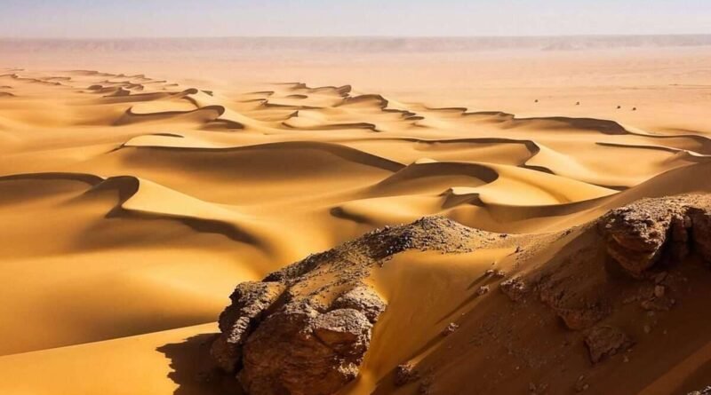 Dünyanın Sonsuz Çölleri - Keşfe Çıkalım