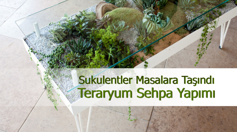 Terasium Masası Yapımı: Sukulentlerle Şıklık Katıyoruz!