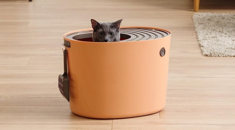 Sevimli Dostlarımız İçin En İyi 8 Üstten Açılan Kedi Tuvaleti Modeli