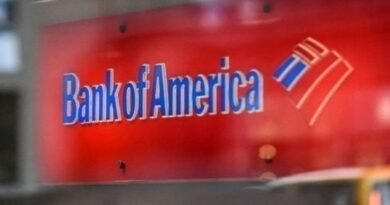 BofA, Yıl Sonu Dolar/TL Tahminini Aşağı Çekti