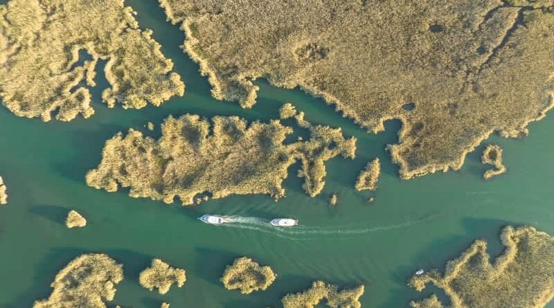 Dalyan'da Neler Yapılabilir? | Turna.com