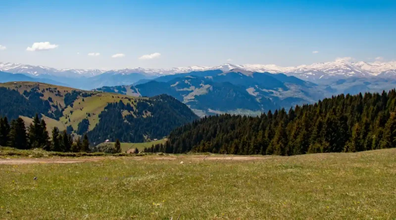 Karadeniz Bölgesi'nin En Gözde Yaylaları