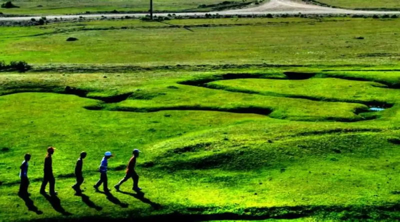 Sakarya'nın Doğal Güzelliği: Karagöl Yaylası