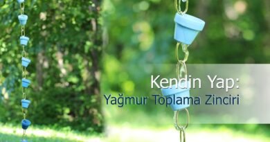 Yağmur Sularını Toplamanın En Şık Yolu