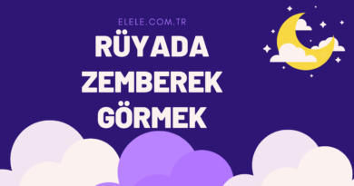 Rüyada Zemberek Görmek Ne Demektir?