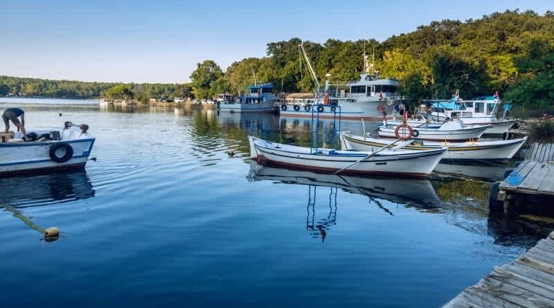 Sinop'a Ulaşım: Sinop Nerede Bulunur?