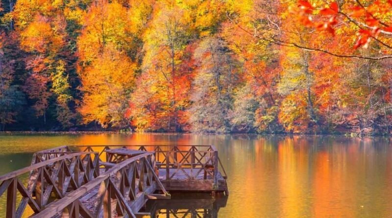 Sonbahar Planı Yapanlar İçin En Güzel 8 Rota