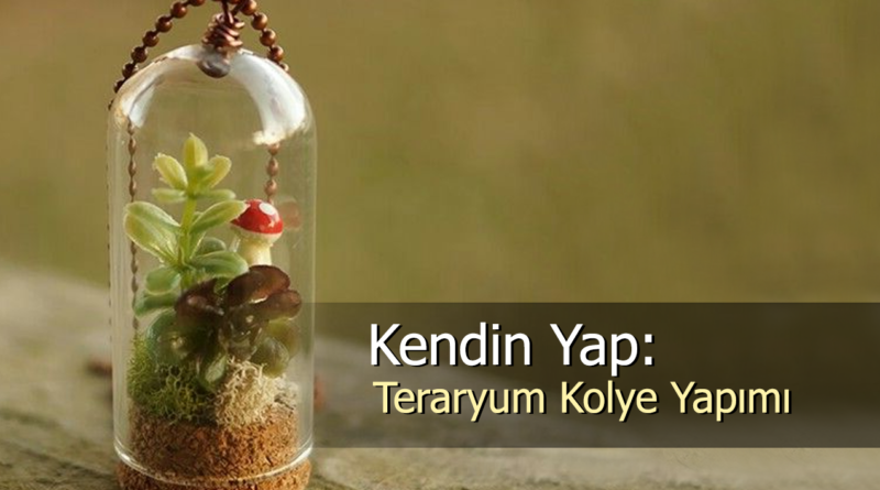 "Takılarınıza Doğal Güzellik Katacak Teraryum Kolye Yapımı"