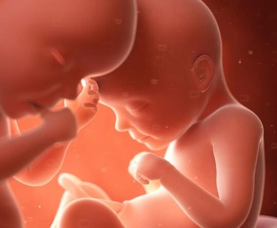 Anne Karnındaki Bebek Gelişimi: Bebek Gelişim Aşamaları