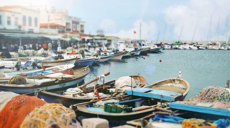 İzmir’de Keşfedilmesi Gereken 8 Tatlı İlçe