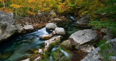 Yazılı Kanyon Doğa Parkı | Turna.com