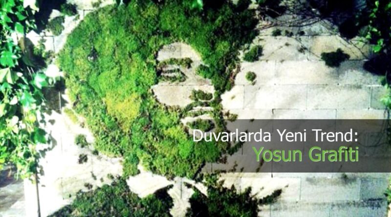 Yosun Grafiti: Nedir ve Nasıl Uygulanır?