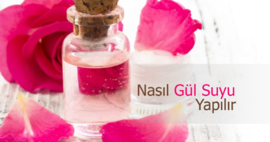 Gül Suyunun Yararları, Kullanım Alanları ve Hazırlama Yöntemi