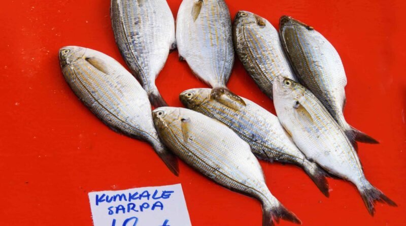 Çanakkale'nin Ünlü Lezzetleri - Çanakkale Mutfağı