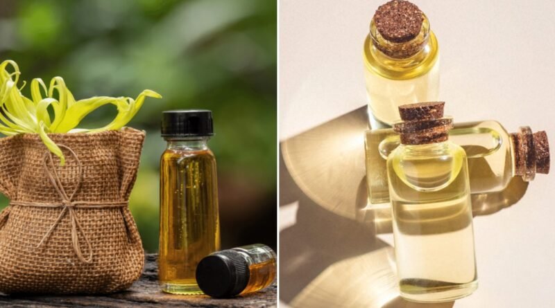 Ylang Ylang Yağı: Egzotik Kokusuyla Dikkat Çeken Faydaları Nelerdir?