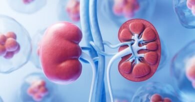 Böbrek Üstü Bezi Kanseri (Adrenal Kanser) Nedir?