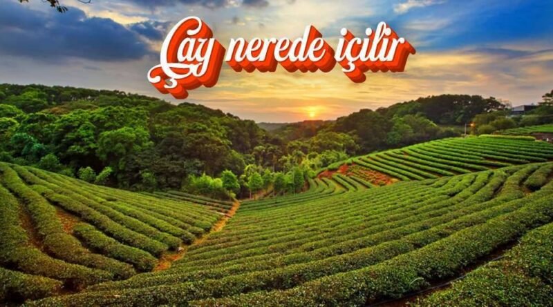 Çay Rotalarımız: En İyi Çay Hangi Ülkede?