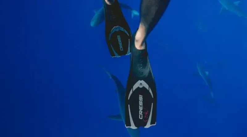 Dalış Ekipmanları Hakkında Bilgi: Neler Var?