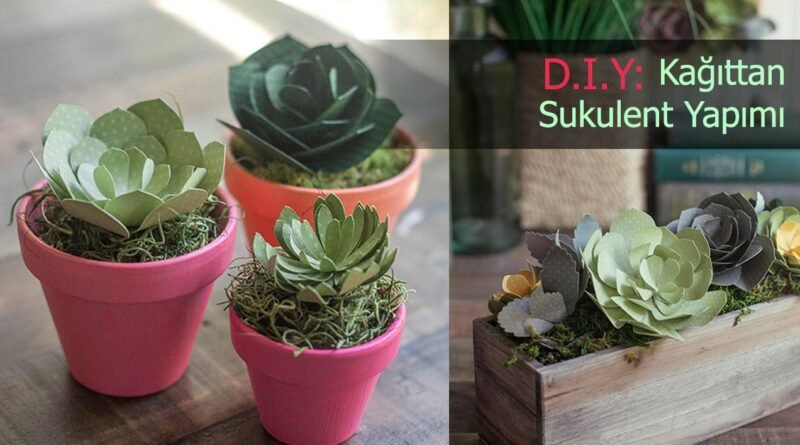 Kağıttan Sukulent Yapımı: Örneklerle Adım Adım Rehber