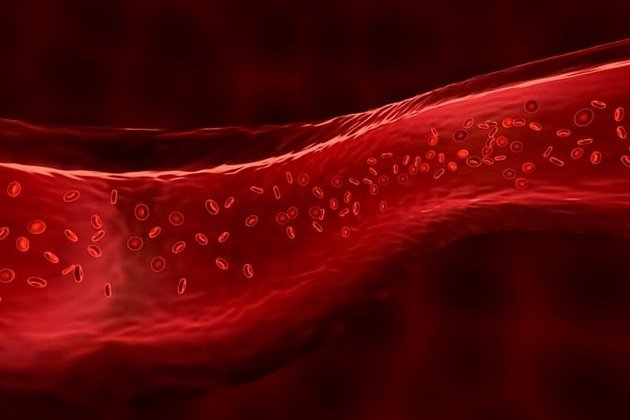 Kan Uyuşmazlığı: Tanımı, Nedenleri ve Tedavi Yöntemleri