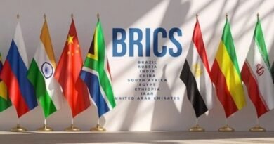 BRICS Üzerinde Ortak Para Birimi Planları Yok