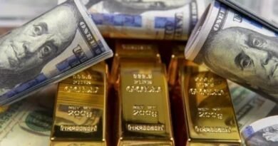 Merkez Bankası Rezervleri Yeniden Zirve Seviyelerine Yaklaşıyor