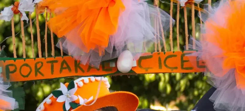 Adana Festivali ve Etkinlikleri