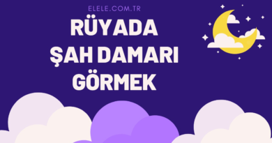 Rüyada Şah Damarını Görmek Ne Anlama Gelir?