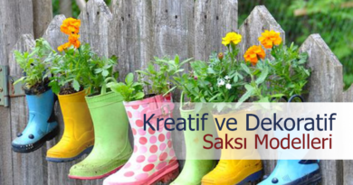 10 Yaratıcı ve Dekoratif Saksı Tasarımı