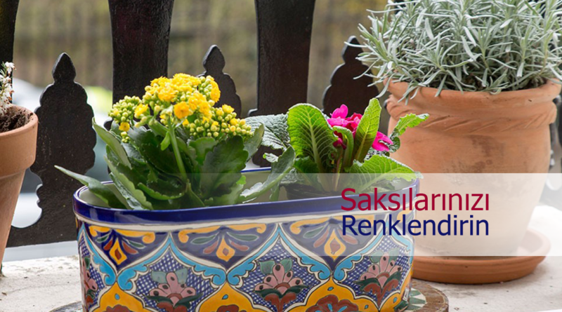 Eski Saksılarınıza Yeni Bir Soluk Kazandırmanın 3 Yolu