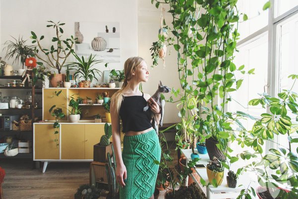 Feng Shui ile evde zenginlik ve refah sağlamanın yöntemleri nelerdir?