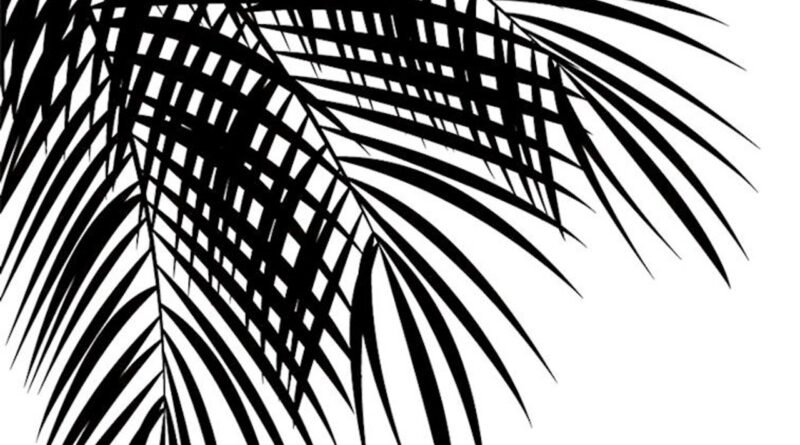 Şehirde Yaz Güneşi ile Bronzlaşma