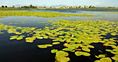 Beyşehir Lake National Park