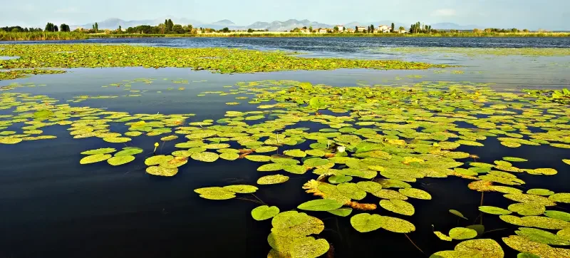 Beyşehir Lake National Park