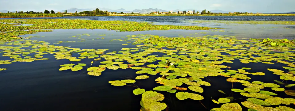 Beyşehir Lake National Park